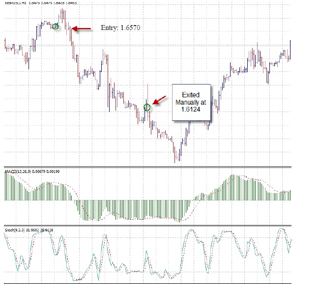 MACD Divergence Trading System